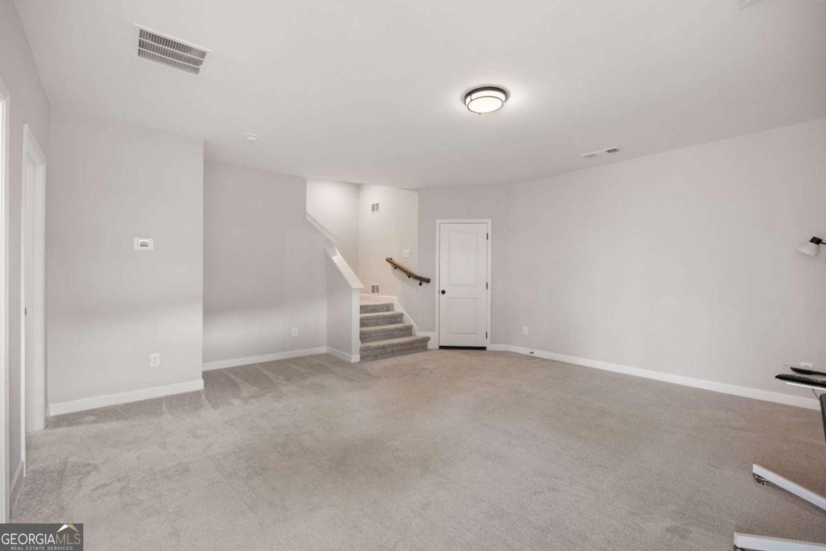 419 Retreat Lane Canton - Photo 100