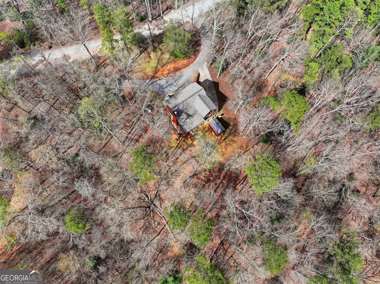 358 Garfield Drive Ellijay - Photo 43