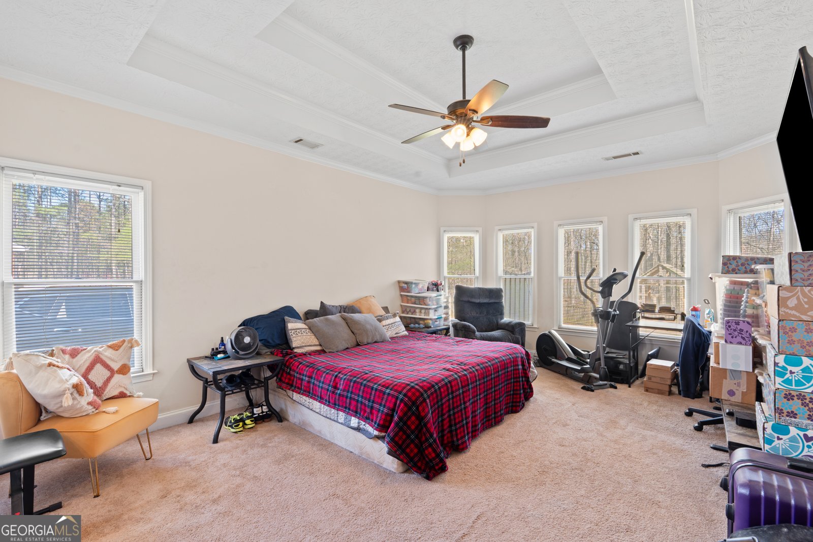 160 Abner Drive McDonough - Photo 19