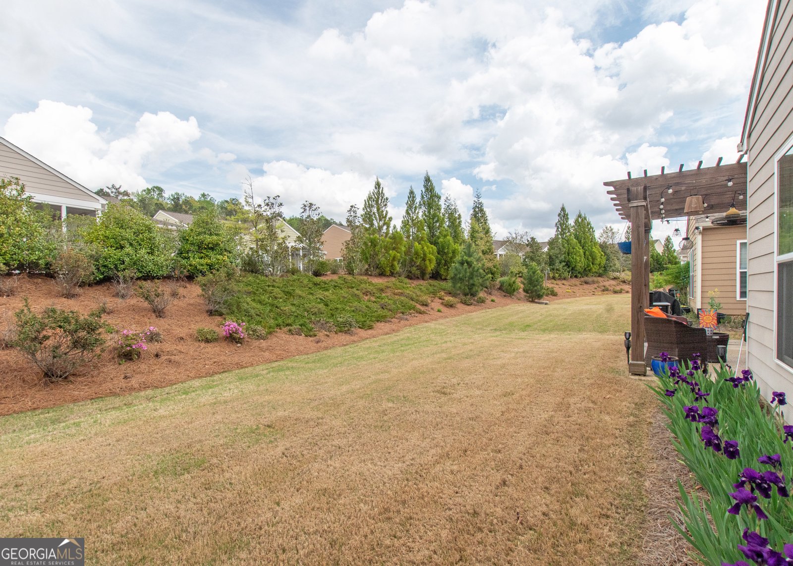 605 Daffodil Drive Griffin - Photo 37