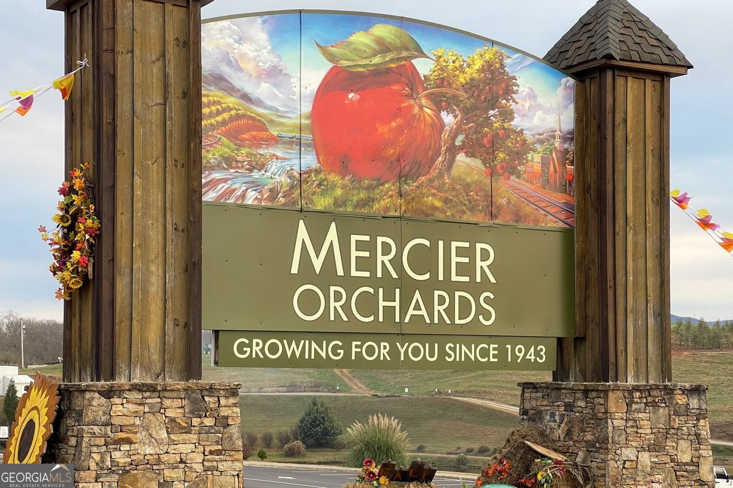 12877 Appalachian Morganton - Photo 44