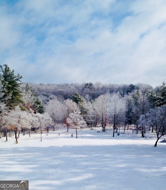 1070 Riverwalk Point Bishop - Photo 9