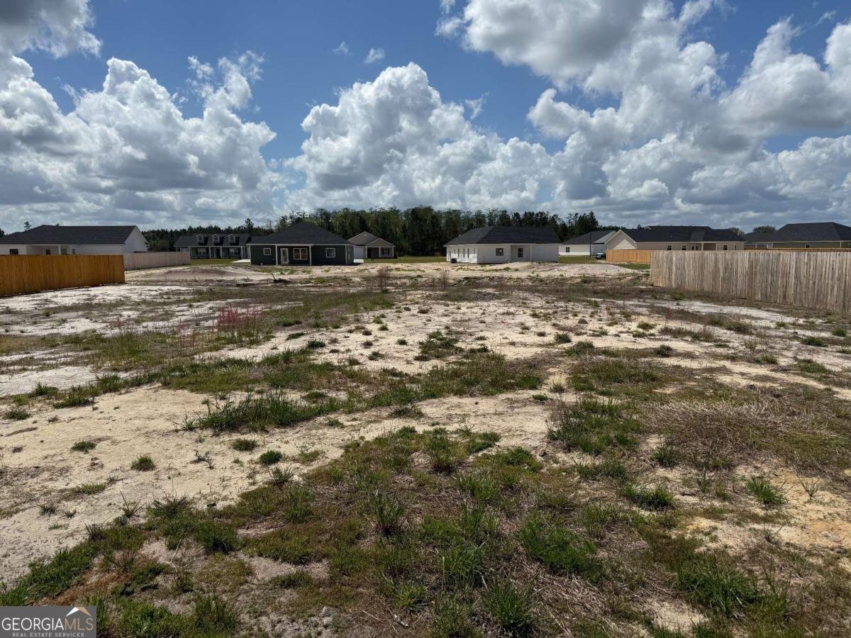 157 Deerfield Drive Ludowici - Photo 41