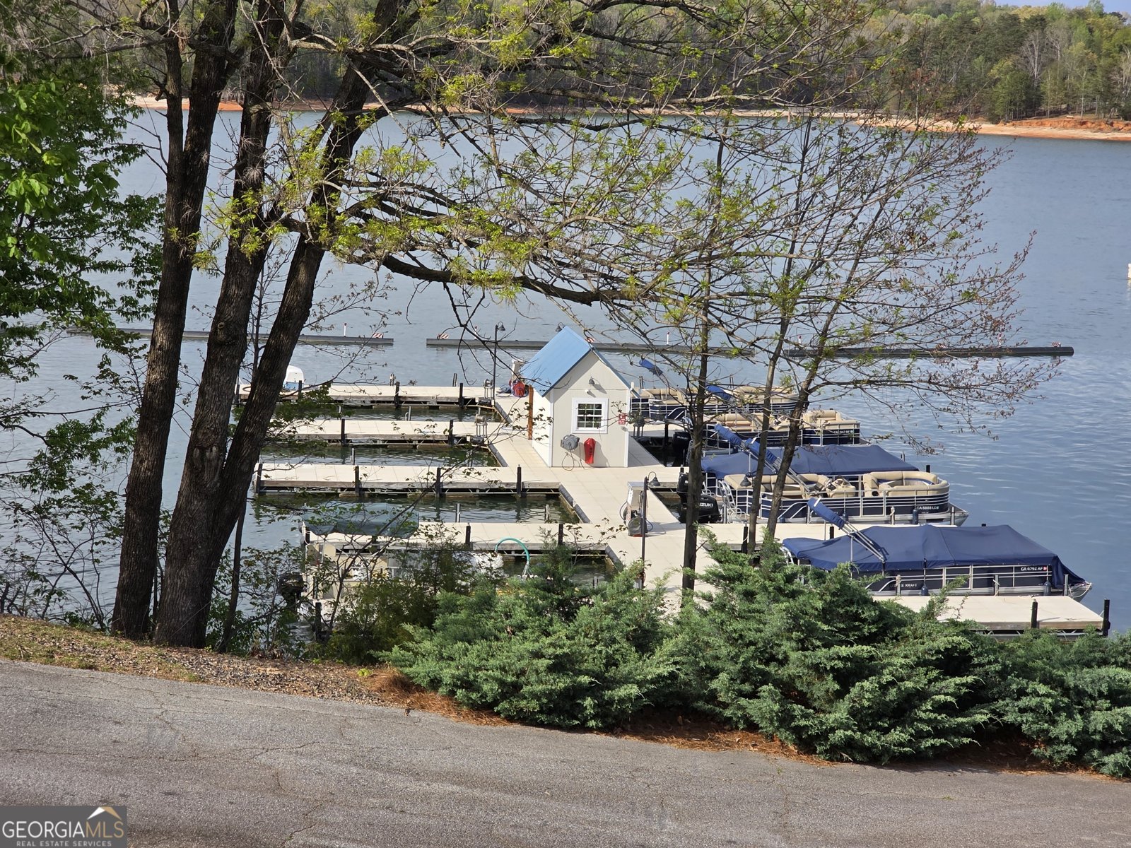 LOT 77 Lake Club Circle Lavonia - Photo 9