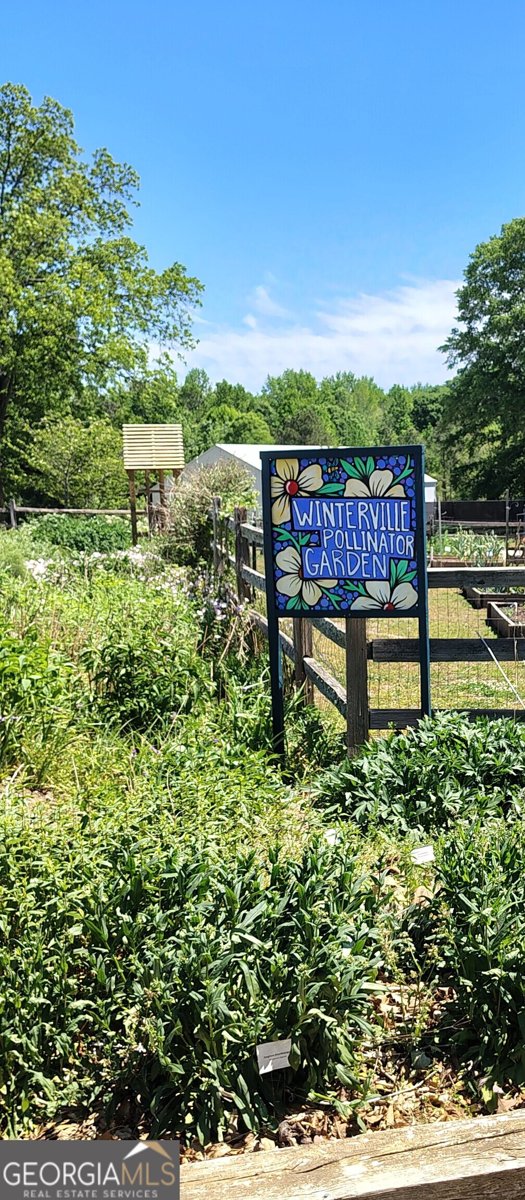 430 Athens Road Winterville - Photo 38