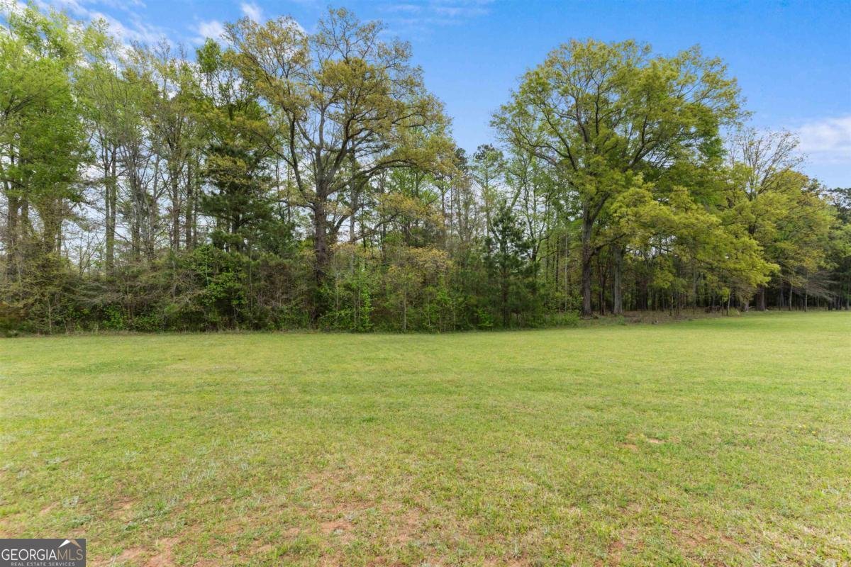 187 Loch Way Eatonton - Photo 31