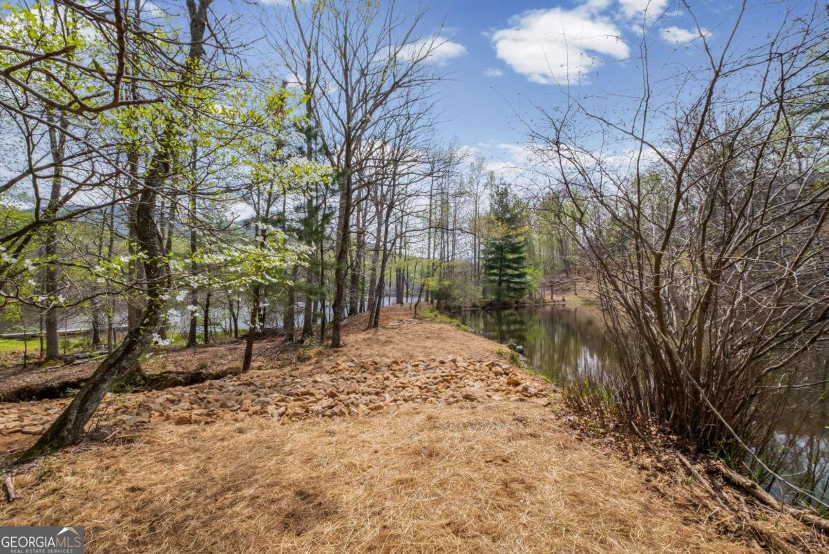 144 Indian Beach Trail Jasper - Photo 45