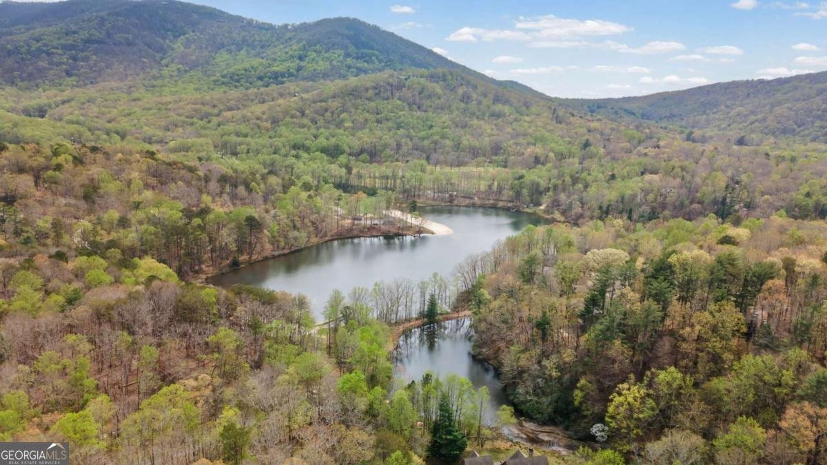 144 Indian Beach Trail Jasper - Photo 53