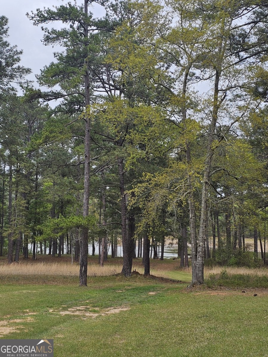 1089 LBK Circle Tignall - Photo 22