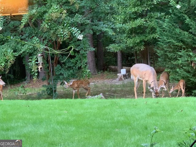 818 Ridgefield Drive Peachtree City - Photo 19