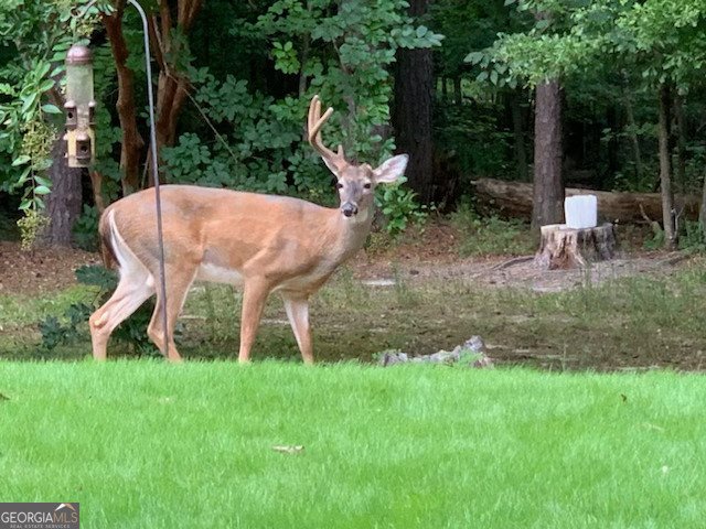 818 Ridgefield Drive Peachtree City - Photo 20