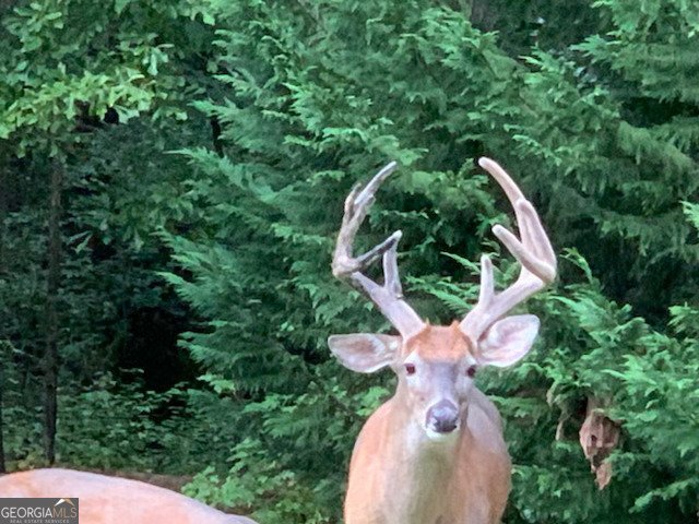818 Ridgefield Drive Peachtree City - Photo 21