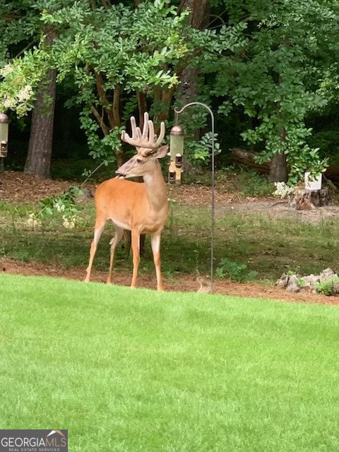 818 Ridgefield Drive Peachtree City - Photo 22