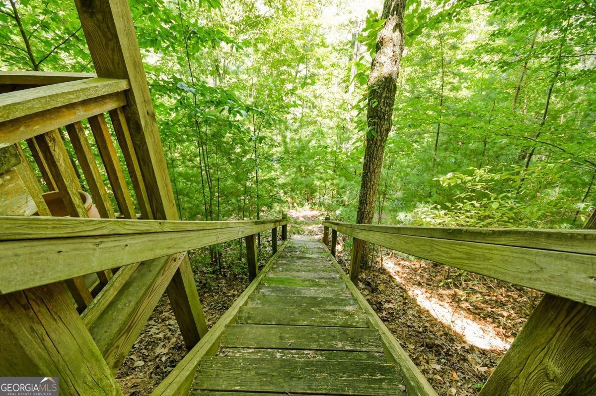 250 Meadow Lane Talking Rock - Photo 41