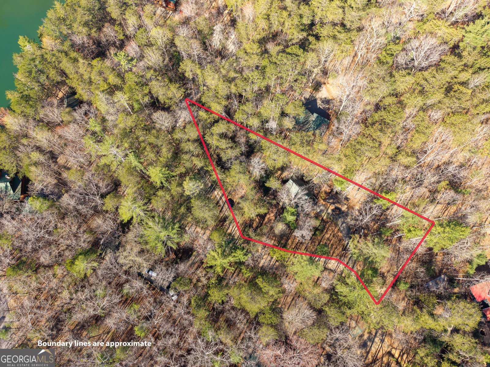 40 Lakeside Drive Blue Ridge - Photo 42