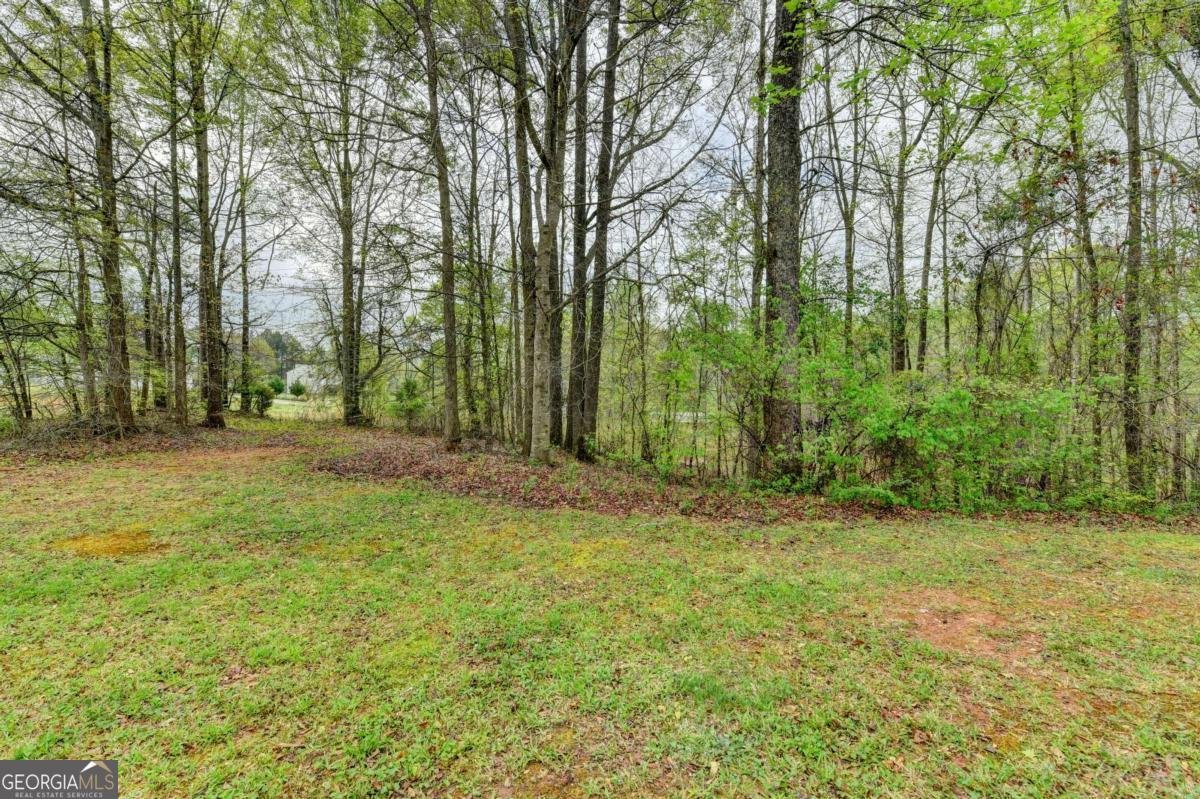 1703 Bismarck Circle Winder - Photo 41