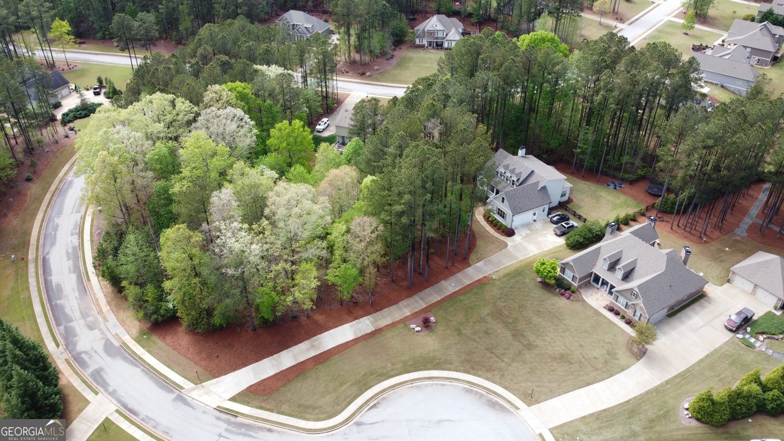 120 Springs Creek Dr Rutledge - Photo 7