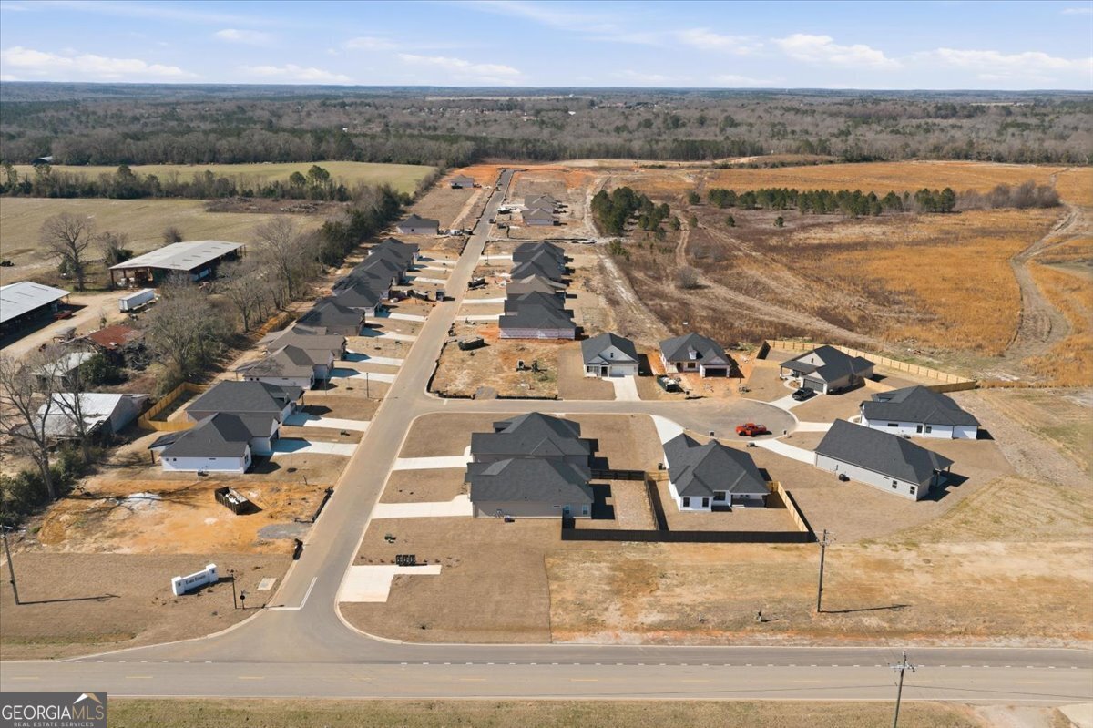 165 Early Drive Byron - Photo 15