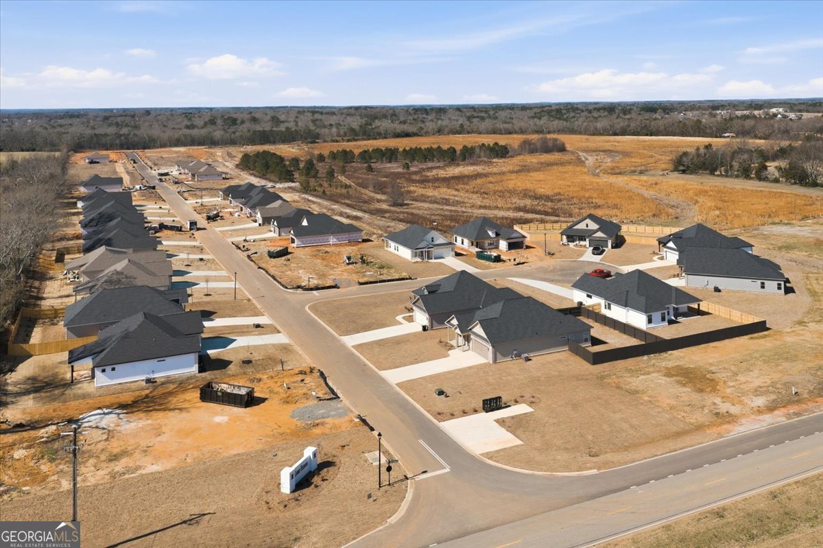 165 Early Drive Byron - Photo 17