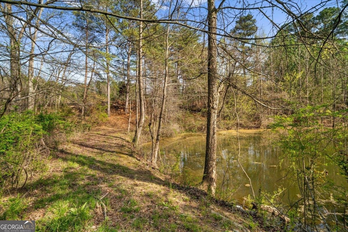 554 Bethel Church Road Dalton - Photo 38