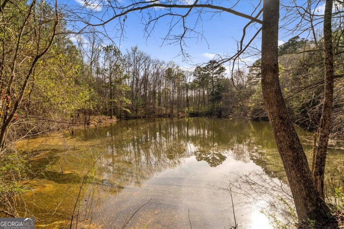 554 Bethel Church Road Dalton - Photo 39