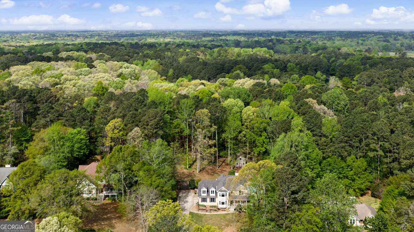 145 Vista Lane Tyrone - Photo 49