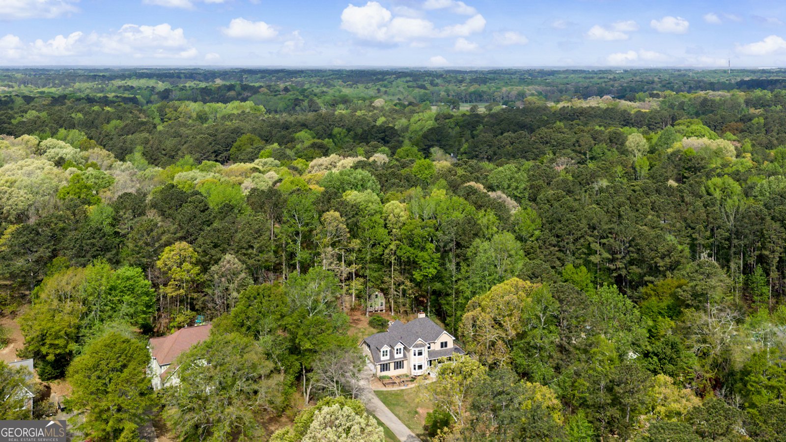 145 Vista Lane Tyrone - Photo 50