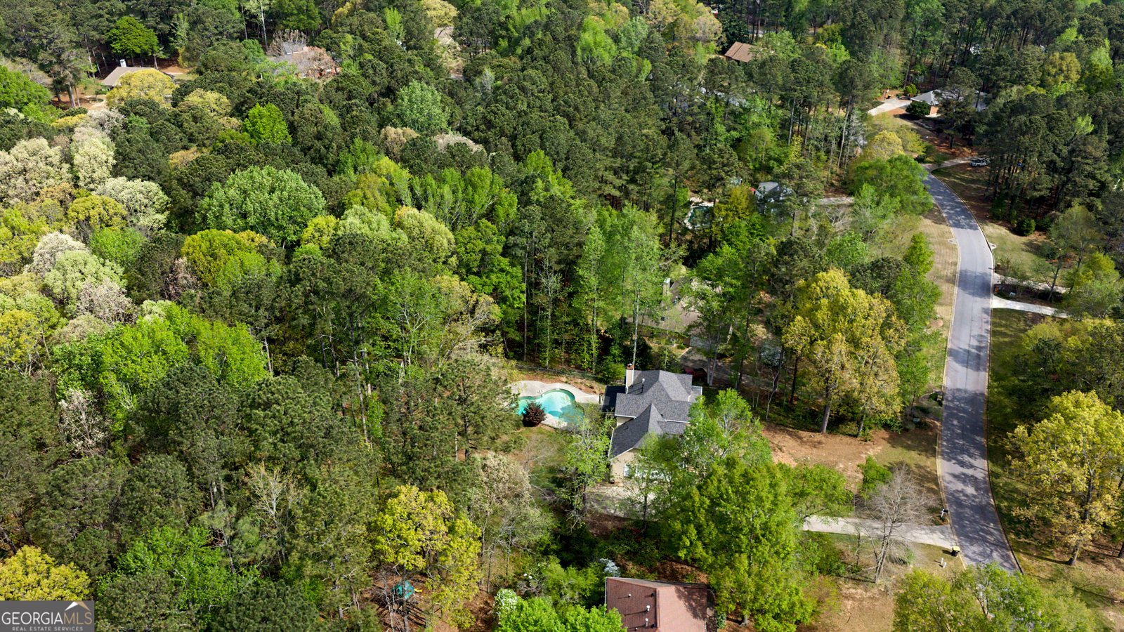 145 Vista Lane Tyrone - Photo 53