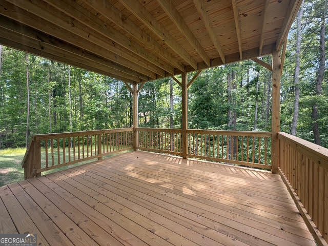 5325 Vinci Place Douglasville - Photo 31