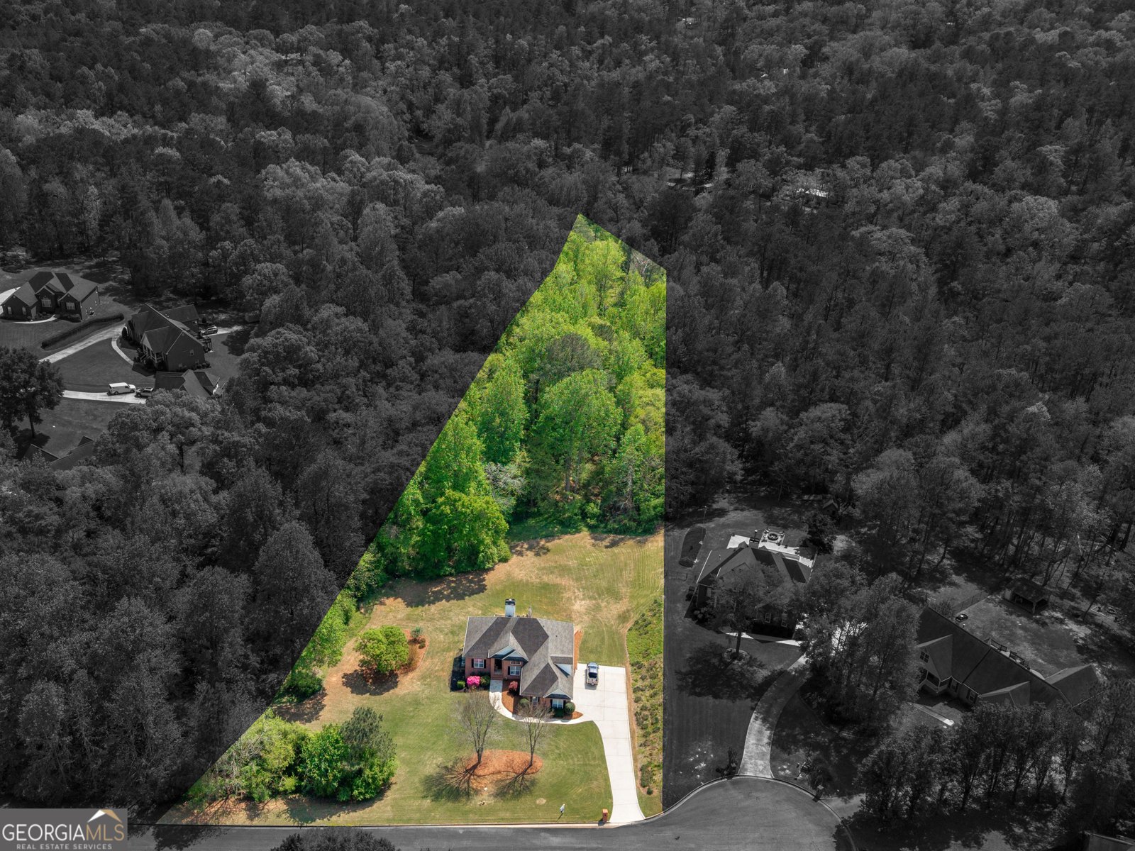 157 Cooks Way McDonough - Photo 55