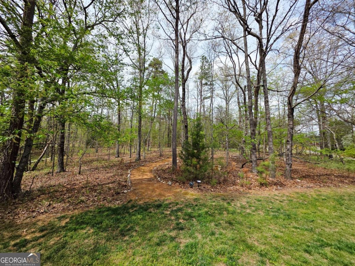 20 Blacksmith Lane Cartersville - Photo 47