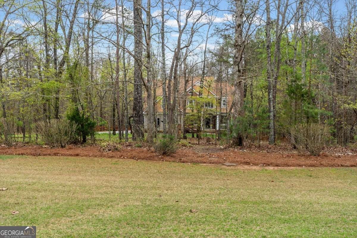 20 Blacksmith Lane Cartersville - Photo 48