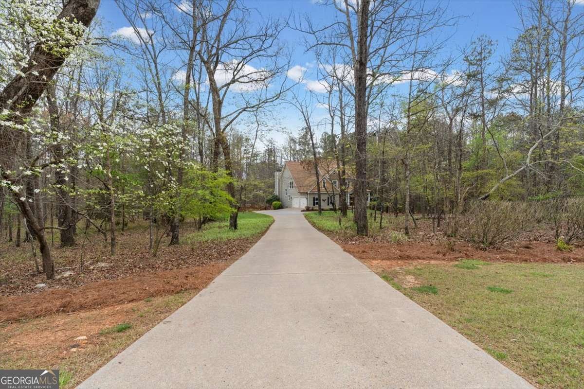 20 Blacksmith Lane Cartersville - Photo 49