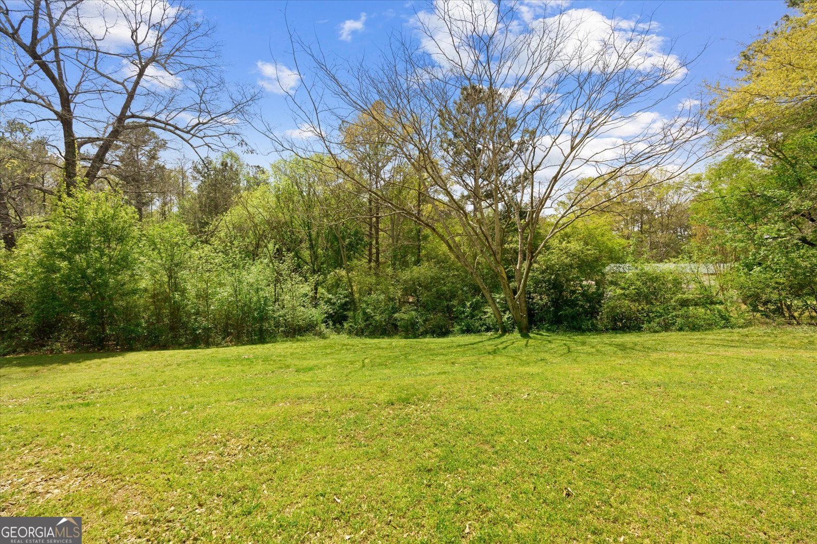 1423 Beulah Church Road Carrollton - Photo 39