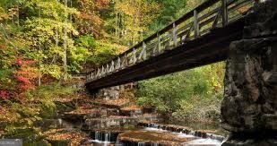 906 Ridgeview Drive Jasper - Photo 55