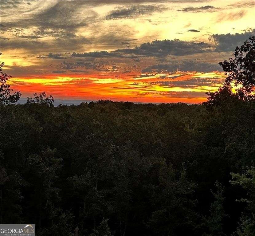 1172 Hunter Drive Ranger - Photo 6