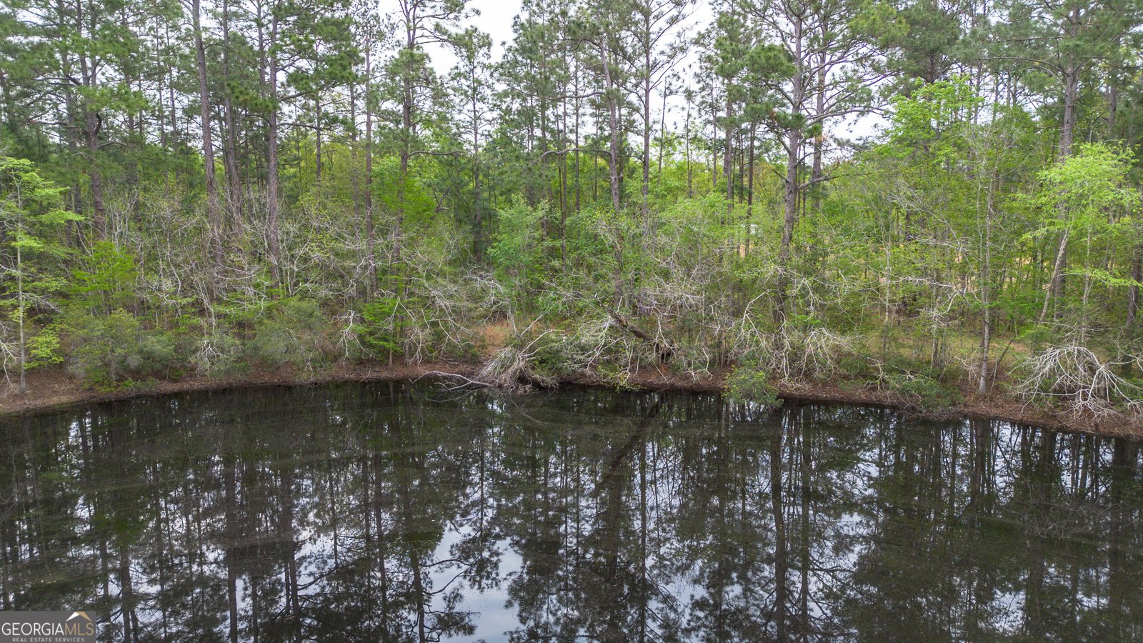 8433 Banks Dairy Road Statesboro - Photo 15