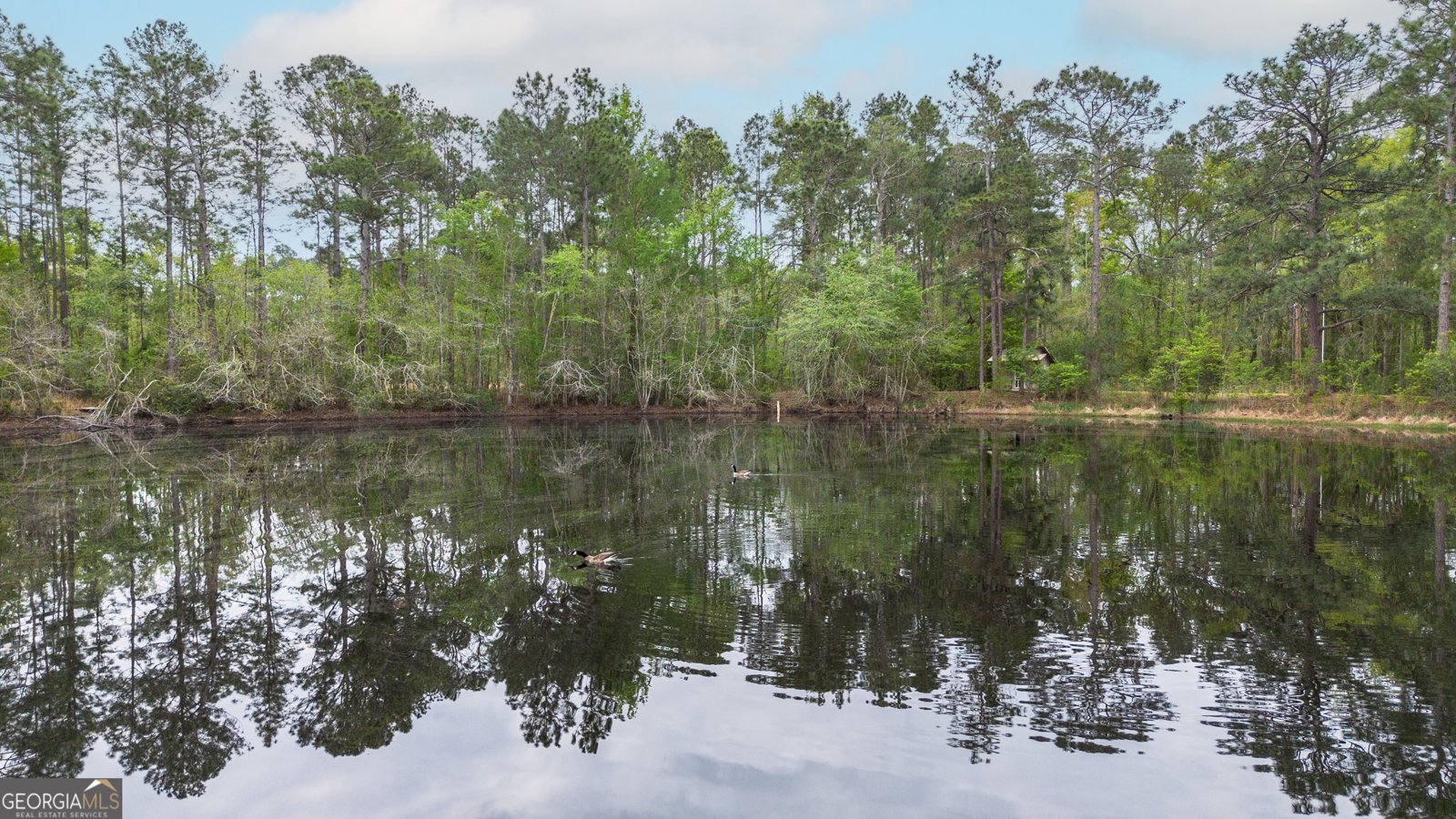 8433 Banks Dairy Road Statesboro - Photo 18
