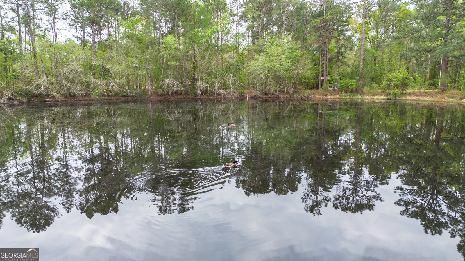8433 Banks Dairy Road Statesboro - Photo 19