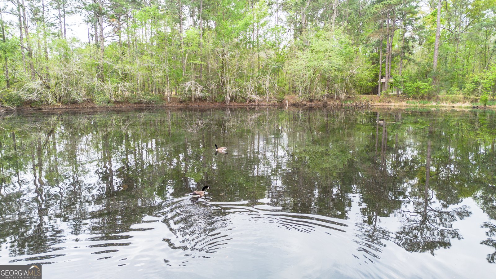 8433 Banks Dairy Road Statesboro - Photo 20