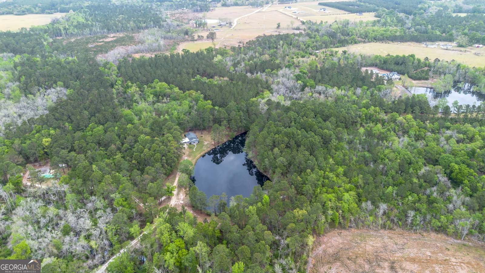 8433 Banks Dairy Road Statesboro - Photo 6
