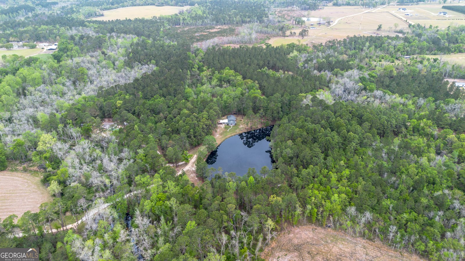 8433 Banks Dairy Road Statesboro - Photo 7