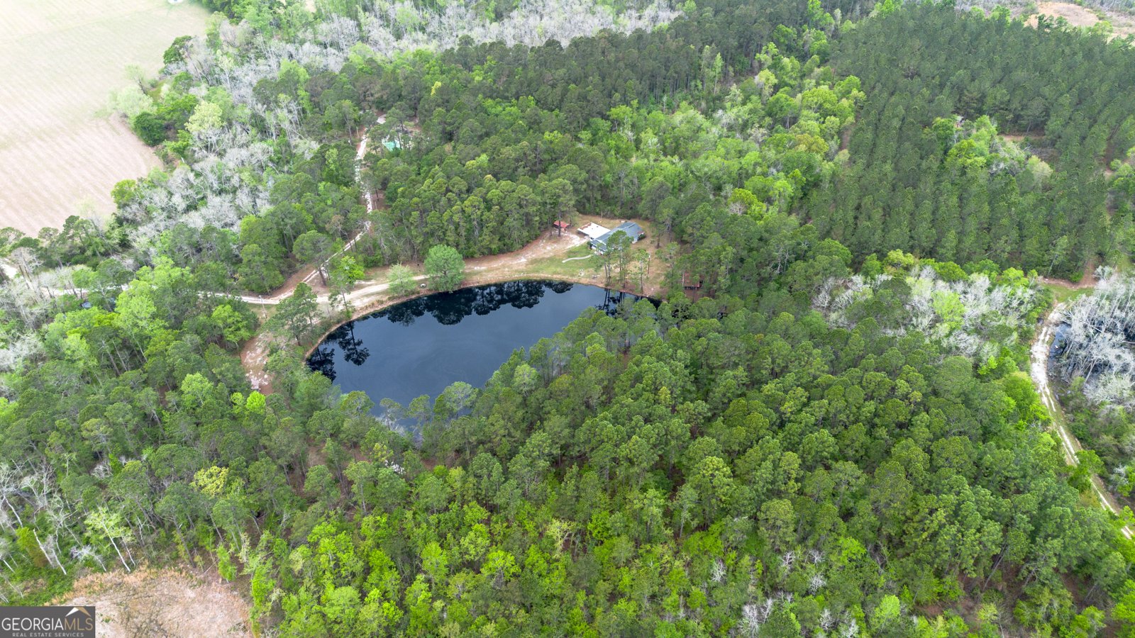 8433 Banks Dairy Road Statesboro - Photo 9