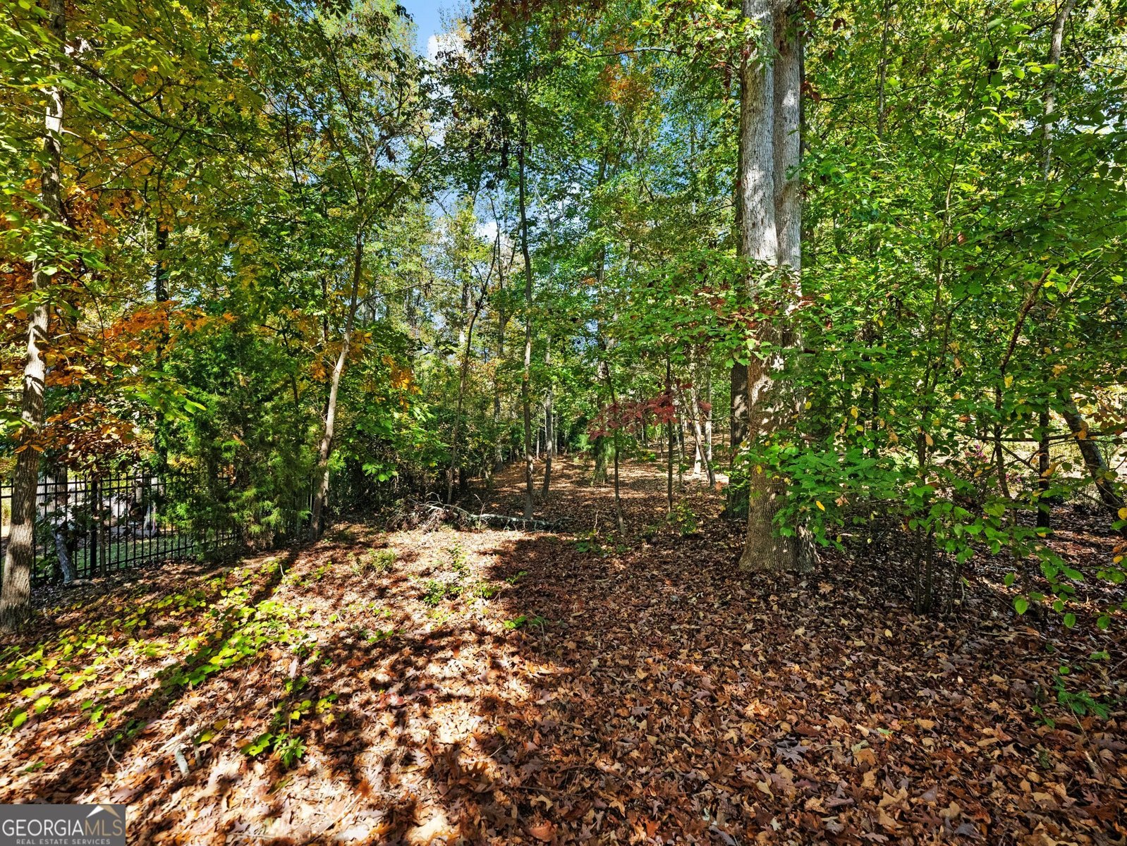 2202 Crimson King Drive Braselton - Photo 113