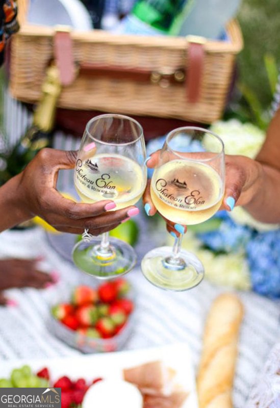 2202 Crimson King Drive Braselton - Photo 123