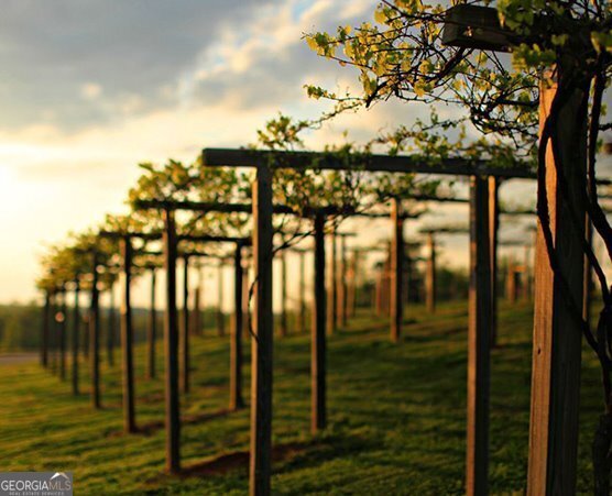 5634 Autumn Flame Drive Braselton - Photo 90