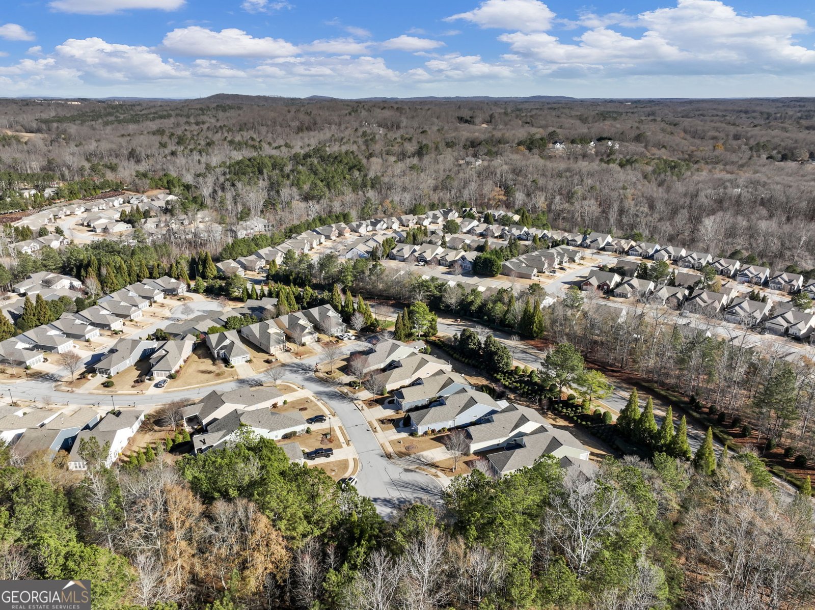 6513 Bradford Court Hoschton - Photo 45