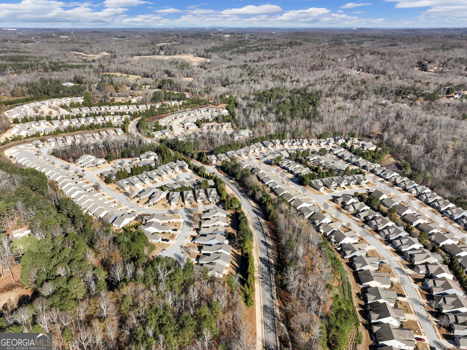 6513 Bradford Court Hoschton - Photo 46