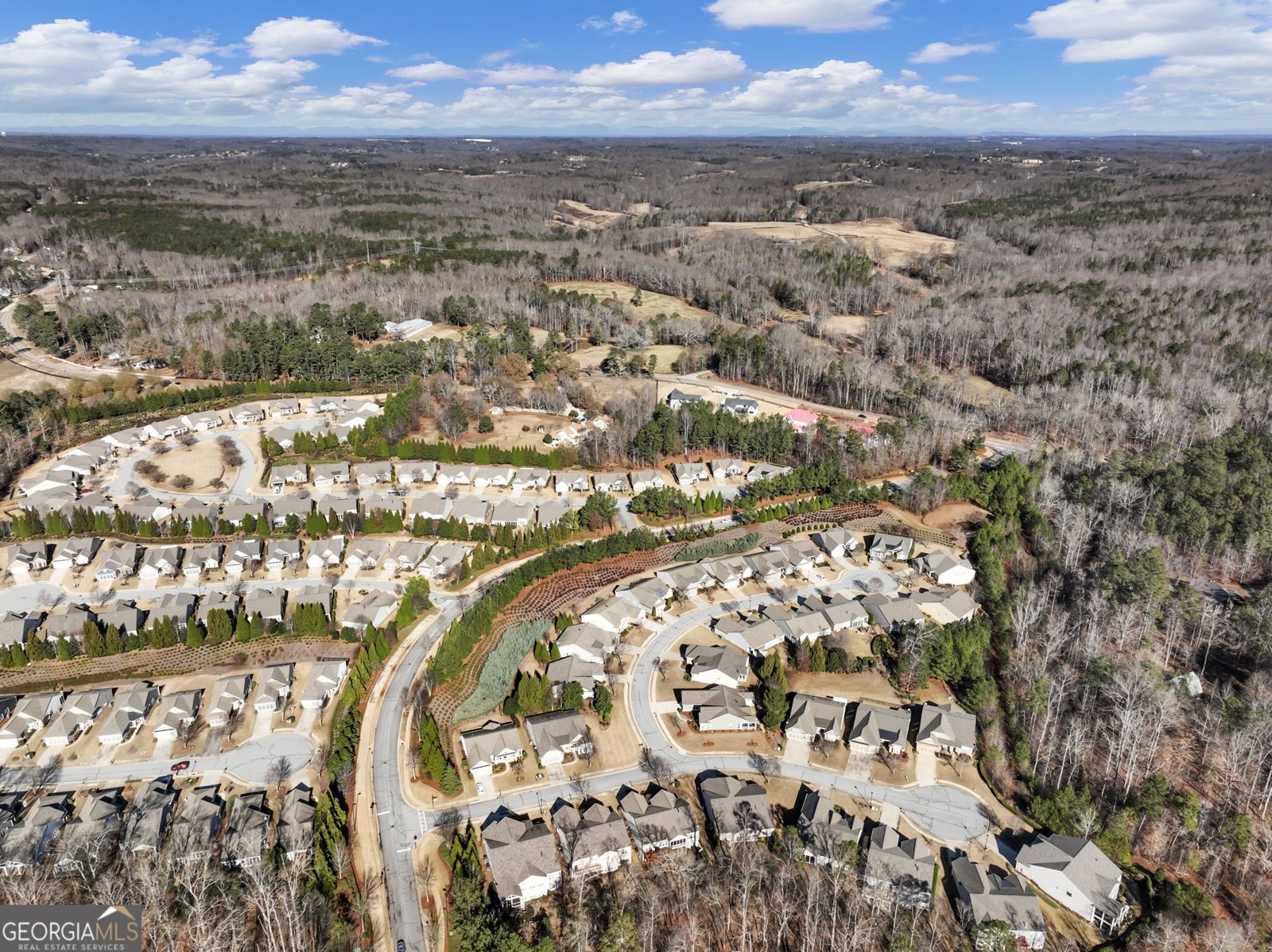 6513 Bradford Court Hoschton - Photo 47