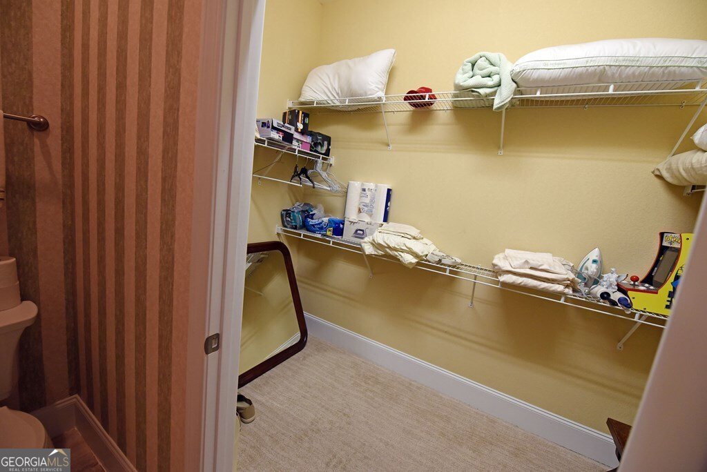 1724 Watercrest Way Hiawassee - Photo 33